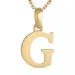 letter g ketting in verguld sterlingzilver met hanger in 9 karaat goud