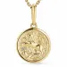 sterrenbeeld leeuw ketting in verguld sterlingzilver met hanger in 9 karaat goud - Gold Collection