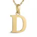 letter d ketting in verguld sterlingzilver met hanger in 9 karaat goud