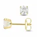 5 mm oorsteker in 9 karaat goud met zirkoon - Gold Collection