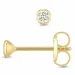 2,5 mm oorsteker in 9 karaat goud met zirkoon - Gold Collection