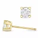 2 x 0,25 ct goud solitaire oorbel in 14 karaat goud met diamant 