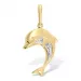 dolfijn hanger in 9 karaat goud met rodium