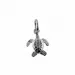 Klein schildpad hanger in zilver