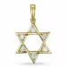 davidster hanger in 9 caraat goud-en witgoud 0,19 ct