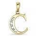 letter c diamant hanger in 9 caraat goud 0,03 ct