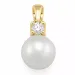 parel diamanten hanger in 9 caraat goud 0,10 ct