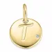 Letter t diamant hanger in 9 caraat goud 0,01 ct