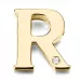 letter r hanger in 9 caraat goud 0,01 ct