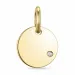 diamant hanger in 9 caraat goud 0,01 ct