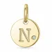 letter n diamant hanger in 9 caraat goud 0,01 ct