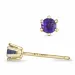 2 x 0,10 ct amethist solitaire oorbel in 9 karaat goud met amethist