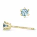 2 x 0,10 ct aquamarijn solitaire oorbel in 9 karaat goud met aquamarijn
