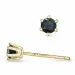 2 x 0,10 ct zwart diamant solitaire oorbel in 9 karaat goud met zwart diamant