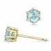 2 x 0,40 ct aquamarijn solitaire oorbel in 9 karaat goud met aquamarijn