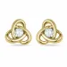 diamant oorbellen in 9 karaat goud met diamant 