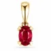robijn hanger in 9 caraat goud 0,35 ct