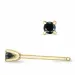2 x 0,05 ct zwart diamant solitaire oorbel in 9 karaat goud met zwart diamant