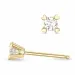 2 x 0,11 ct campagne - diamant oorsteker in 14 karaat goud met diamant