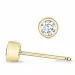 2 x 0,15 ct  campagne - briljant oorbellen in 14 karaat goud met diamant 