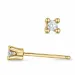 2 x 0,05 ct campagne - diamant solitaire oorbel in 14 karaat goud met diamant