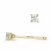 2 x 0,05 ct campagne - diamant solitaire oorbel in 14 karaat goud met diamant