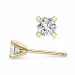 2 x 0,20 ct lab grown diamant solitaire oorbel in 14 karaat goud met lab grown diamant 