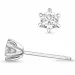 2 x 0,30 ct lab grown diamant solitaire oorbel in 14 karaat witgoud met lab grown diamant 