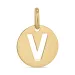 letter v hanger in 8 karaat goud