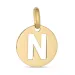 letter n hanger in 8 karaat goud
