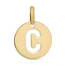 letter c hanger in 8 karaat goud