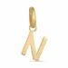 letter n hanger in 8 karaat goud