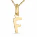 letter f ketting in verguld sterlingzilver met hanger in 8 karaat goud