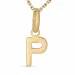 letter p ketting in verguld sterlingzilver met hanger in 8 karaat goud