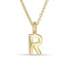 letter r hanger met ketting in verguld sterlingzilver