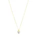 waterproof hart zirkoon ketting in verguld staal met hartjes hanger in staal - OCEANA