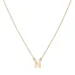waterproof letter n ketting met hanger in verguld staal - My Letter