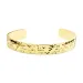 waterproof armband in verguld staal - OCEANA