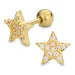 waterproof ster helix piercing in verguld staal - OCEANA