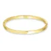 waterproof 4 mm armband in verguld staal - OCEANA