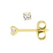 3 mm waterproof zirkoon solitaire oorbel in verguld staal - OCEANA