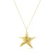 waterproof ster ketting in verguld staal - OCEANA