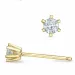 2 x 0,10 ct campagne - diamant oorsteker in 14 karaat goud met diamant 