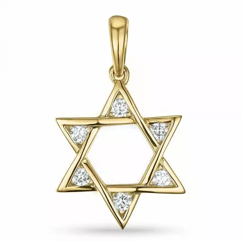 Davidster diamanten hanger in 14 caraat goud-en witgoud 0,18 ct