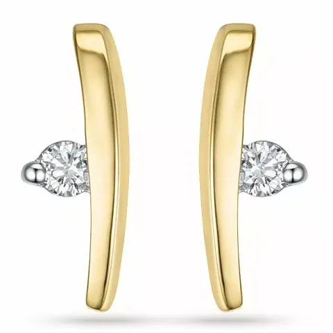 Diamant oorbellen in 14 karaat goud en witgoud met diamanten 