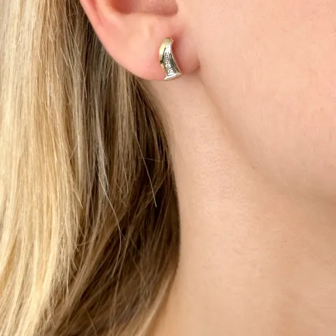 Diamant oorbellen in 14 karaat goud en witgoud met diamanten 