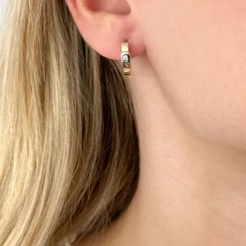 Diamant halfcreool in 14 karaat goud en witgoud met diamanten 