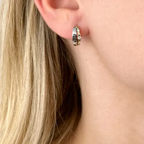 Diamant oorbellen in 14 karaat goud en witgoud met diamanten 