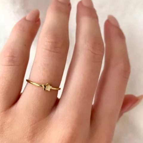 Simple Rings ster ring in verguld sterlingzilver