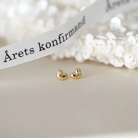hart briljant oorbellen in 14 karaat goud met diamant